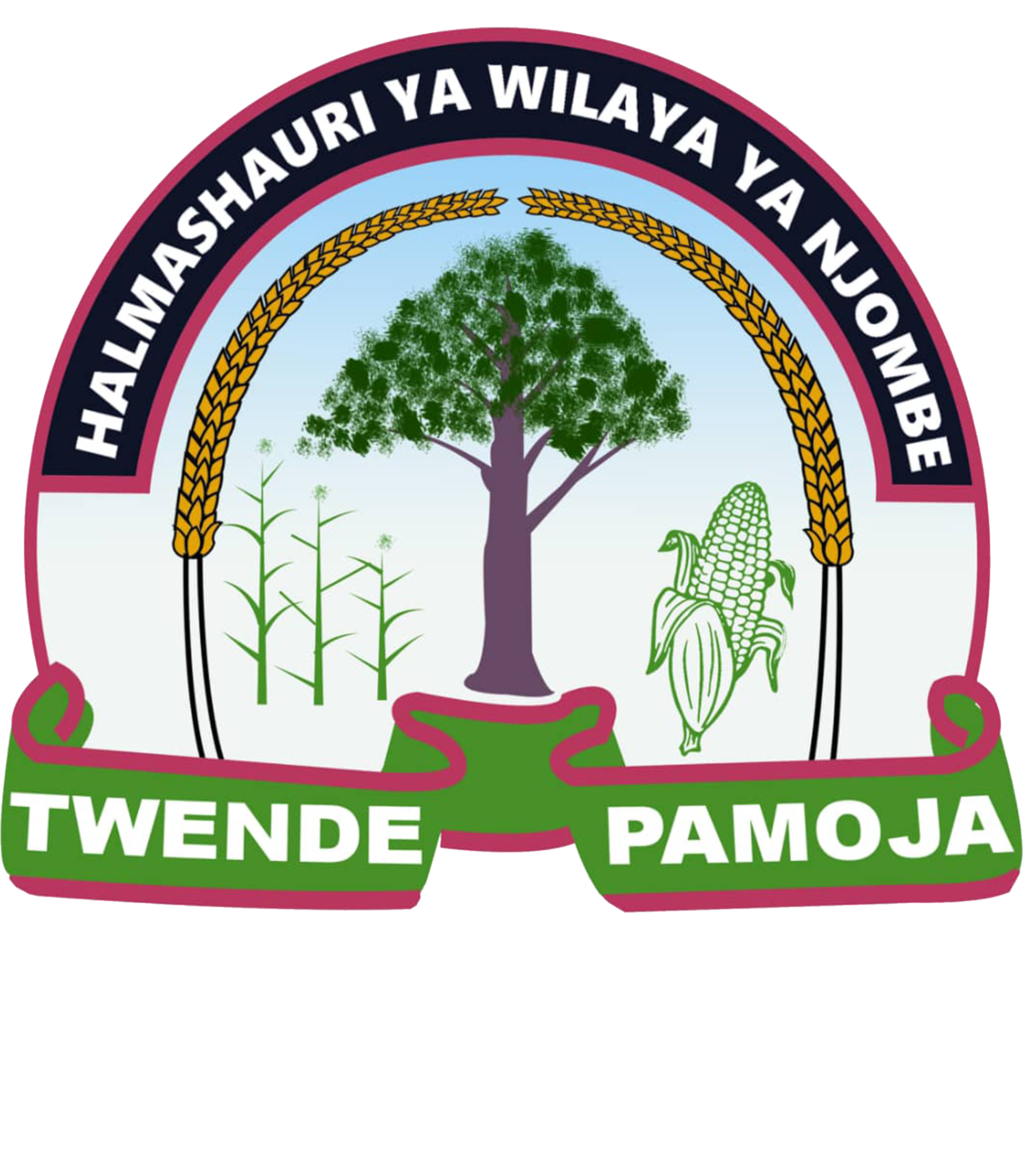 Njombe District Council
